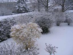 img_3528.JPG