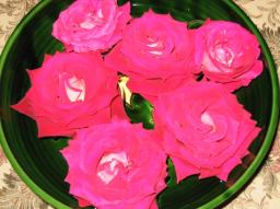 img_2964.JPG
