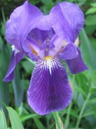 img_3926.JPG