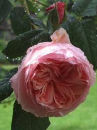 img_3956.JPG
