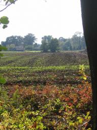 img_4553.JPG
