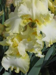 img_5186.JPG