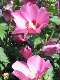 img_5478.JPG