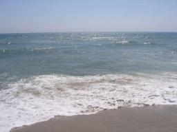 img_4489.JPG