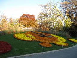 img_1077nov2010.JPG
