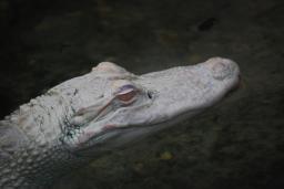 dsc_3219.JPG