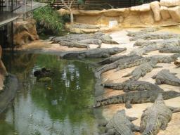 img_1945.JPG