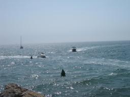 img_2008.JPG