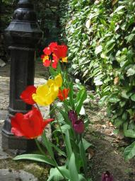 img_2616.JPG