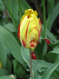 img_2699.JPG
