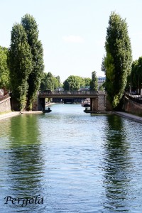 IMG_2366