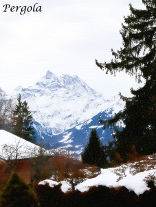 IMG_4442