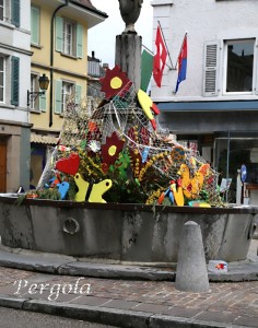 IMG_0712