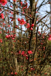 IMG_4791