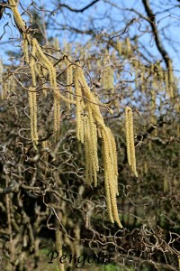 IMG_4802