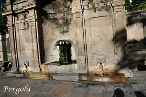 IMG_5588