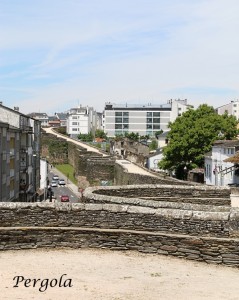IMG_5646
