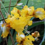 IMG_8866
