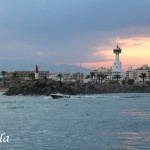 IMG_6612