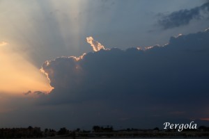 IMG_6602