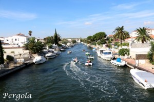 IMG_6640