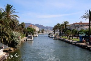 IMG_6708