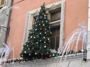 IMG_5895