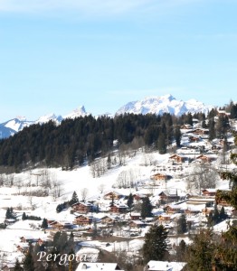 IMG_7164