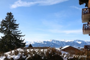 IMG_7173