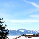 IMG_7175