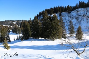 IMG_7245