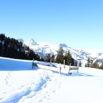 IMG_7257