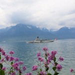 IMG_7960