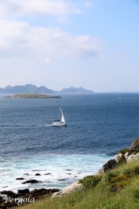 IMG_5850