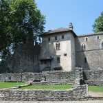 IMG_6316