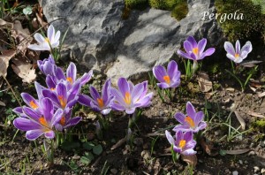 IMG_7104