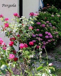 IMG_8093
